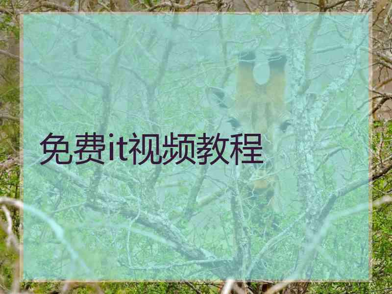 免费it视频教程
