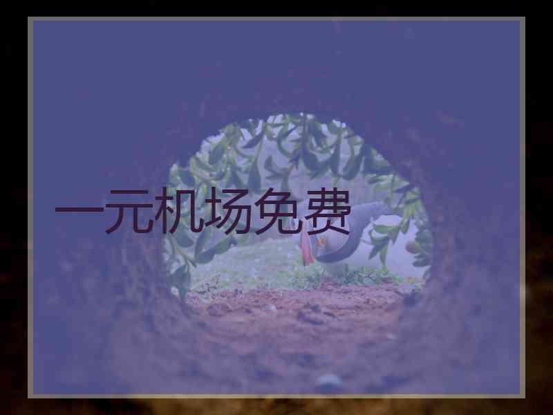 一元机场免费