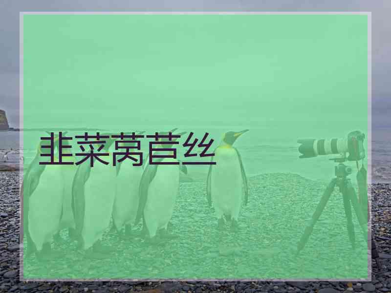韭菜莴苣丝