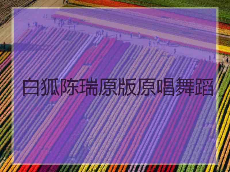 白狐陈瑞原版原唱舞蹈