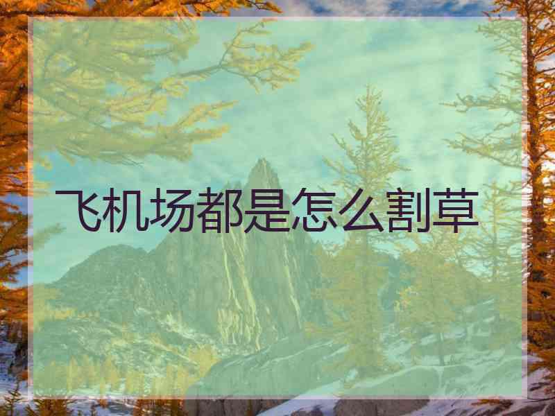 飞机场都是怎么割草