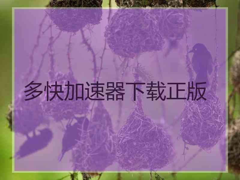 多快加速器下载正版
