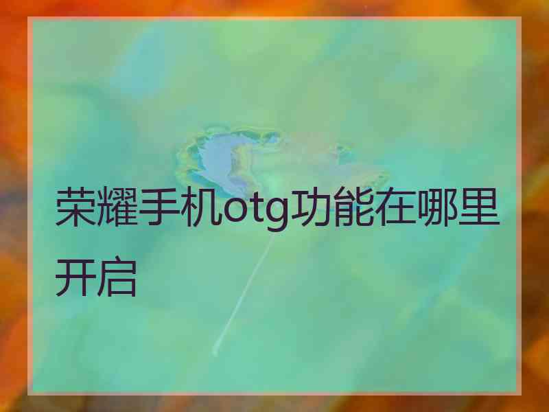 荣耀手机otg功能在哪里开启