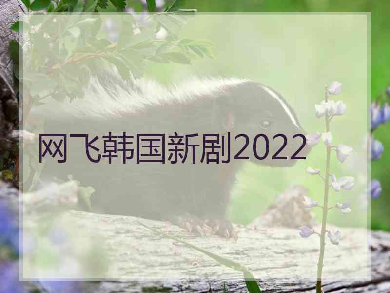 网飞韩国新剧2022