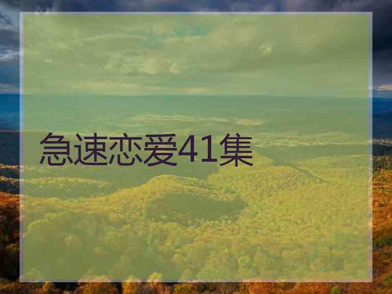 急速恋爱41集