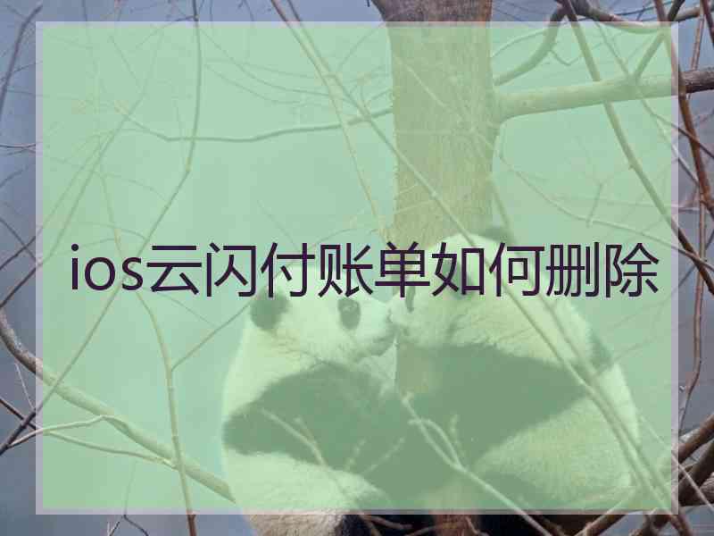 ios云闪付账单如何删除