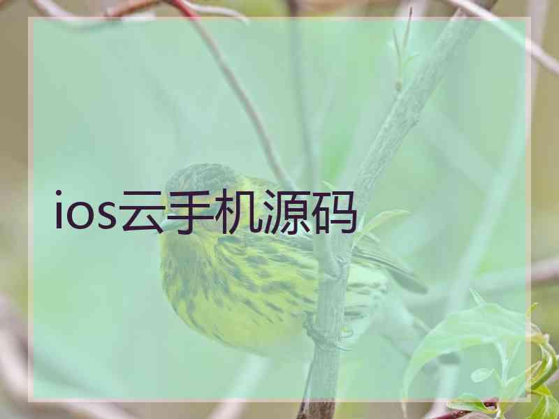 ios云手机源码