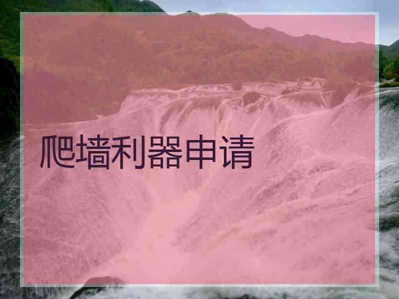 爬墙利器申请