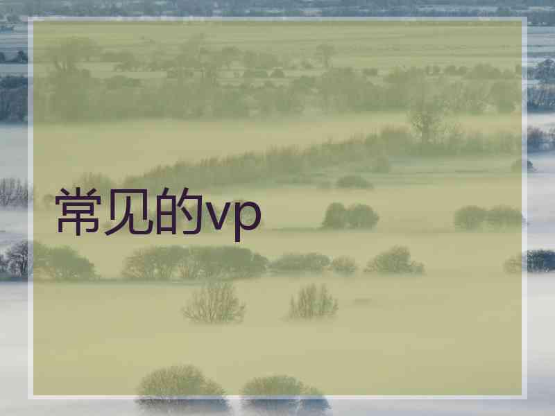 常见的vp