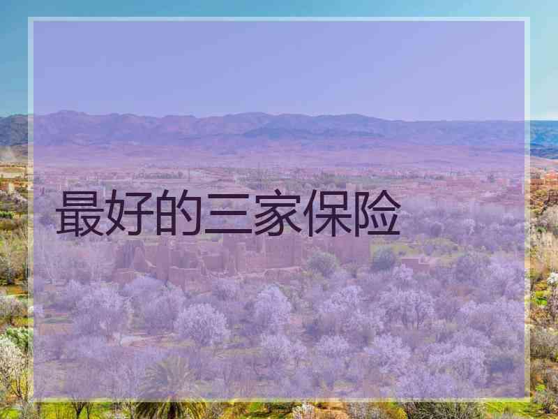 最好的三家保险