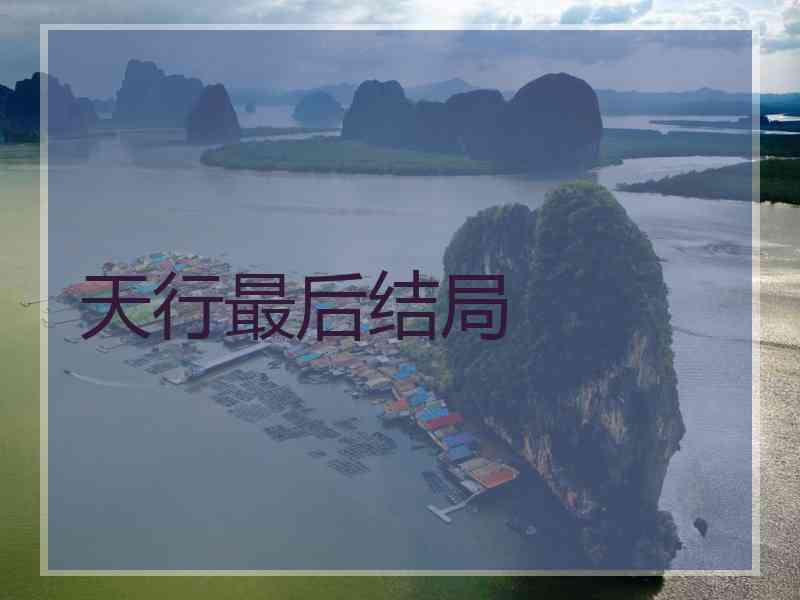 天行最后结局