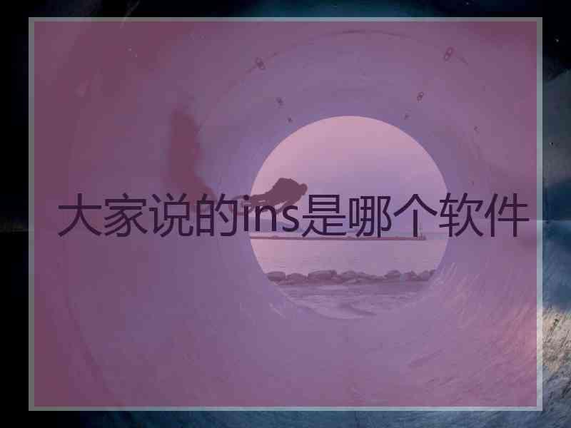 大家说的ins是哪个软件
