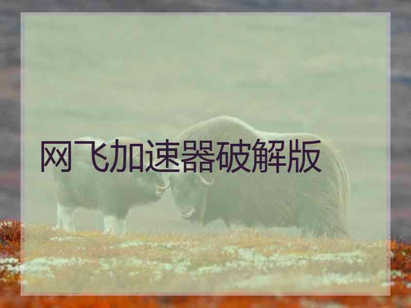 网飞加速器破解版