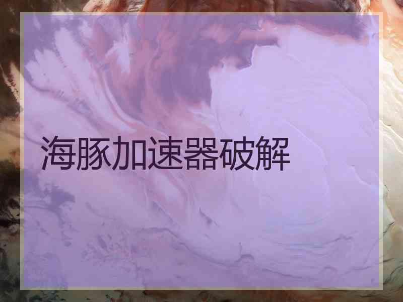 海豚加速器破解