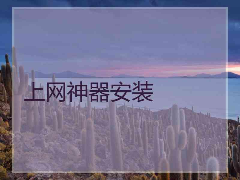 上网神器安装
