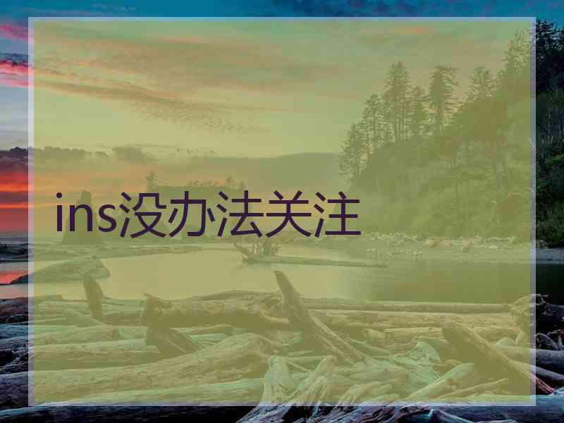 ins没办法关注