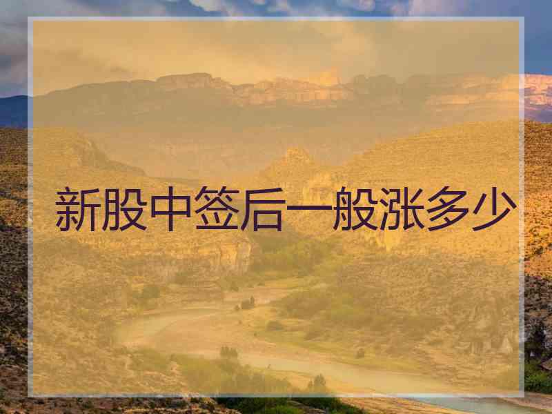 新股中签后一般涨多少