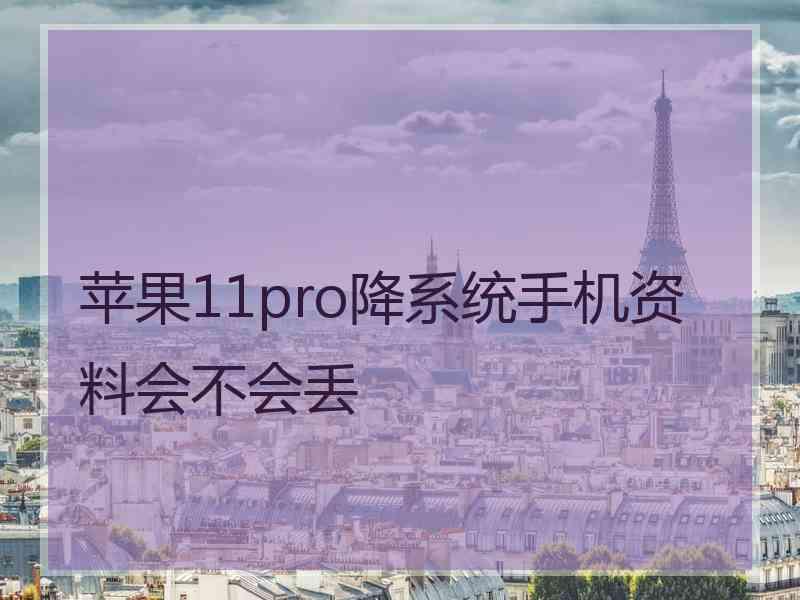 苹果11pro降系统手机资料会不会丢