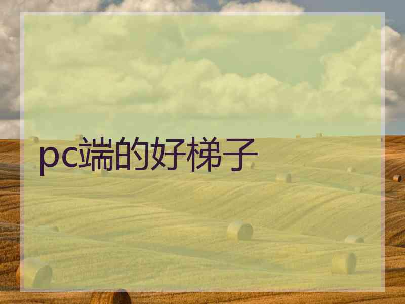 pc端的好梯子