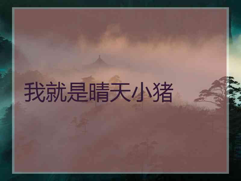 我就是晴天小猪