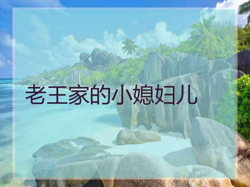 老王家的小媳妇儿