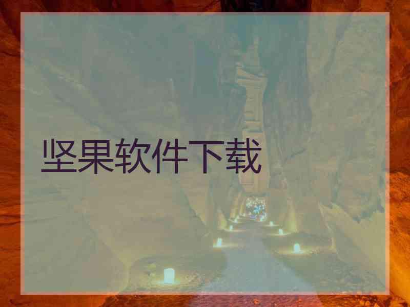 坚果软件下载