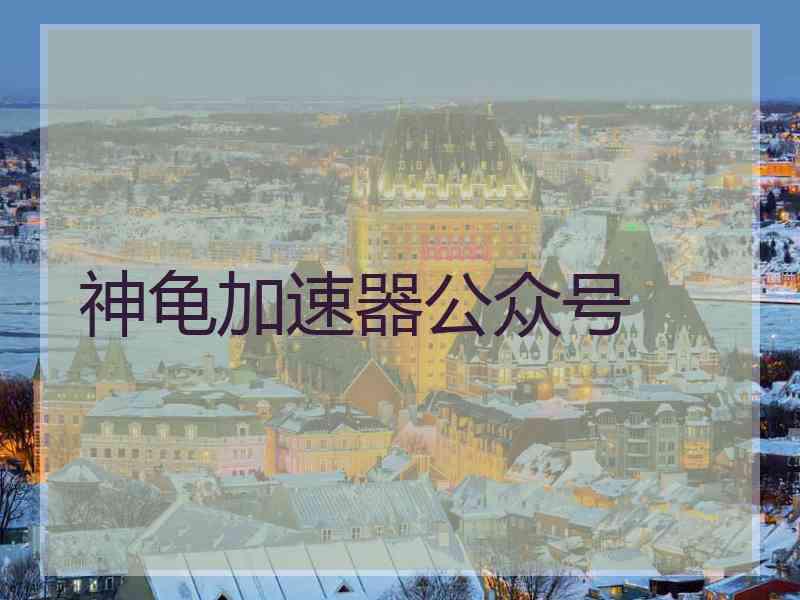 神龟加速器公众号
