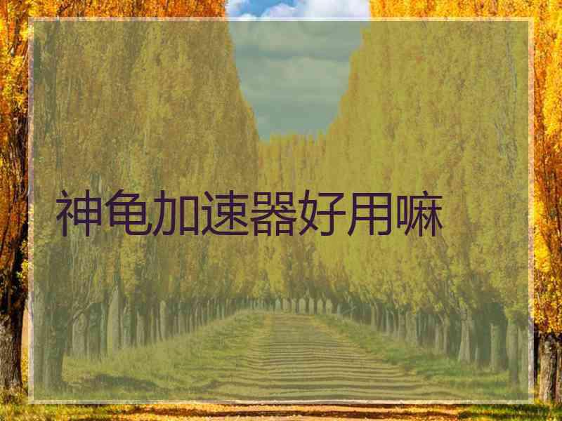 神龟加速器好用嘛