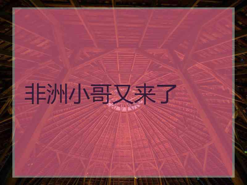 非洲小哥又来了