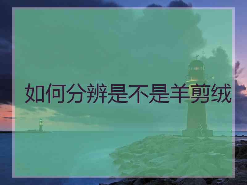 如何分辨是不是羊剪绒