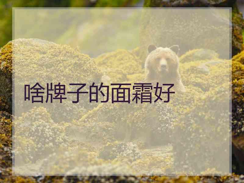 啥牌子的面霜好