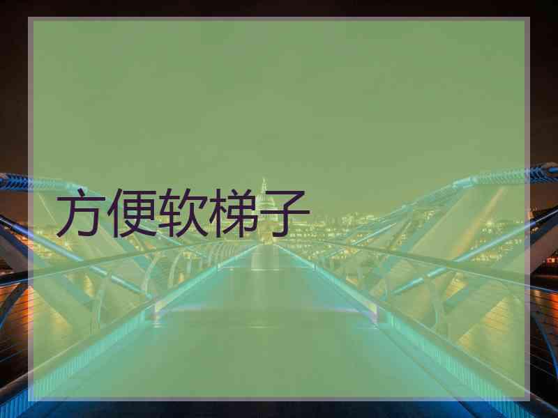 方便软梯子