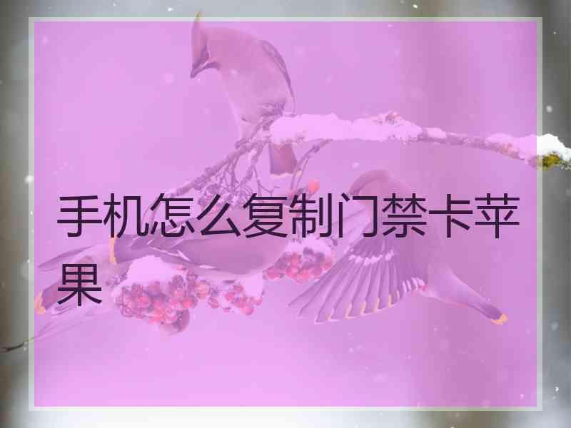 手机怎么复制门禁卡苹果