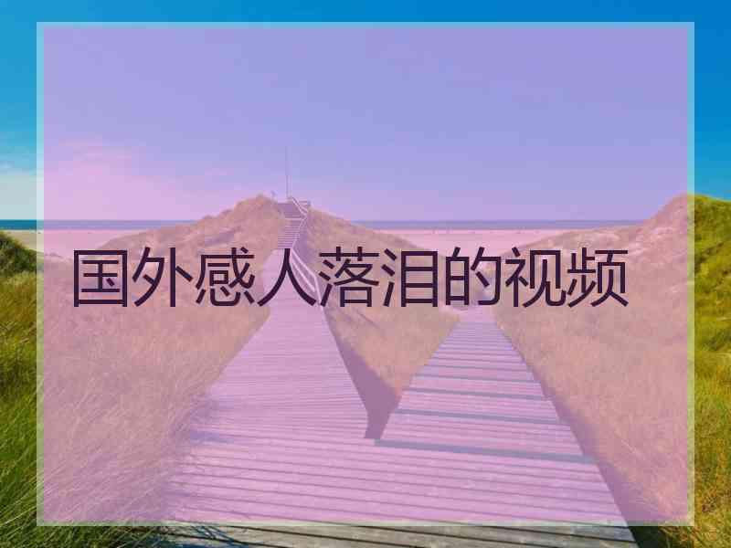 国外感人落泪的视频