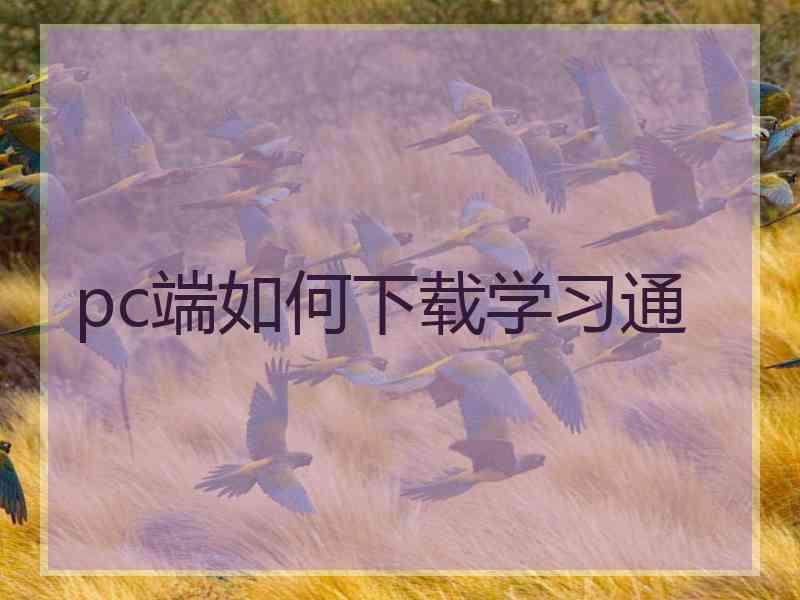 pc端如何下载学习通