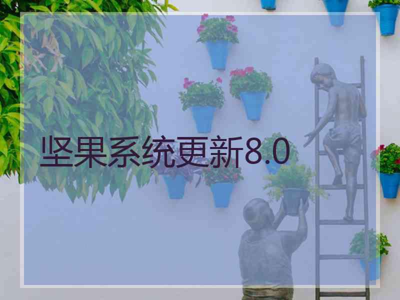 坚果系统更新8.0
