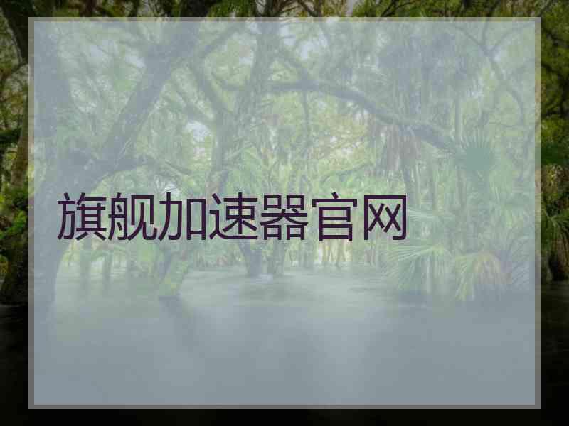 旗舰加速器官网