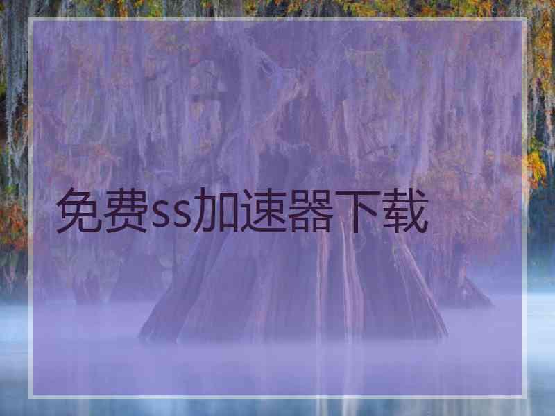 免费ss加速器下载