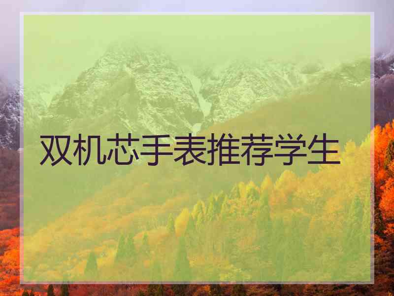 双机芯手表推荐学生
