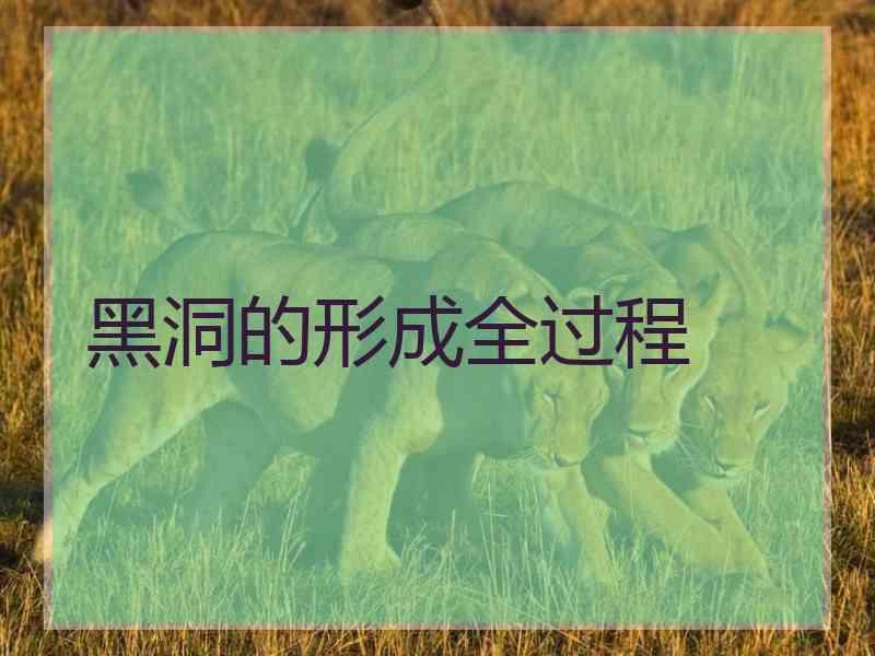 黑洞的形成全过程