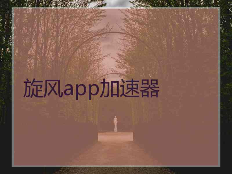 旋风app加速器