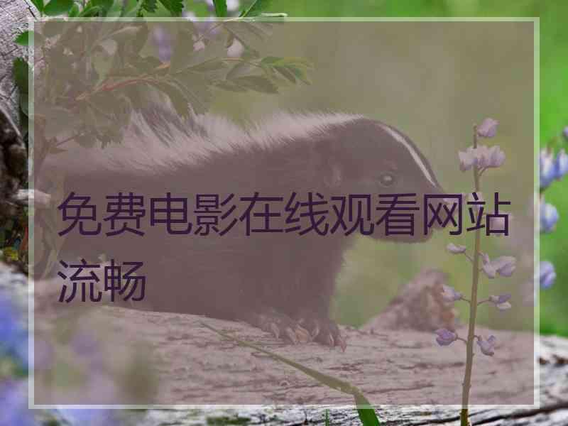 免费电影在线观看网站流畅