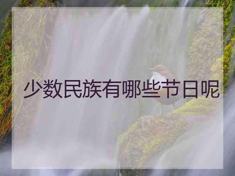 少数民族有哪些节日呢