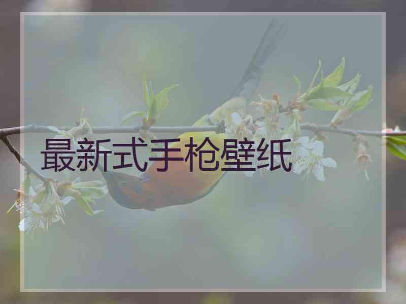 最新式手枪壁纸