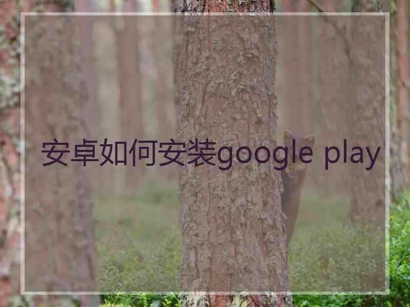 安卓如何安装google play