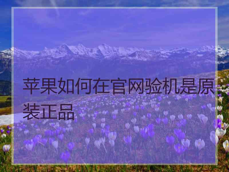 苹果如何在官网验机是原装正品