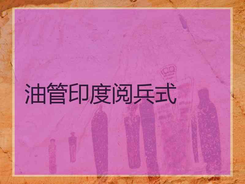 油管印度阅兵式