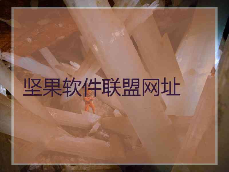坚果软件联盟网址