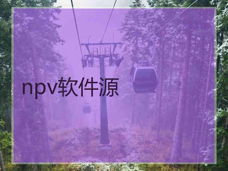 npv软件源