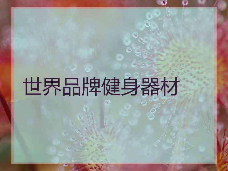 世界品牌健身器材